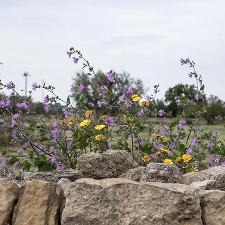 Ych-le Grotte Di Sileno Bed & Breakfast Castellaneta