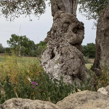 Ych-le Grotte Di Sileno Bed & Breakfast *