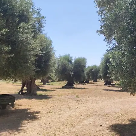 Ych-le Grotte Di Sileno Bed & Breakfast