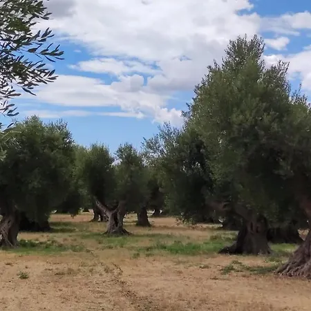 Ych-le Grotte Di Sileno Bed & Breakfast *