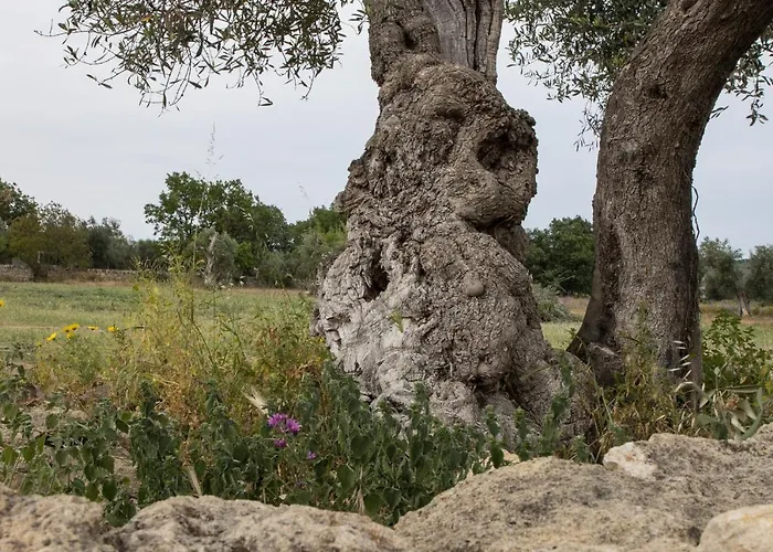 Ych-le Grotte Di Sileno Bed & Breakfast *